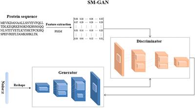 Gm-PLoc: A Subcellular Localization Model of Multi-Label Protein Based on GAN and DeepFM
